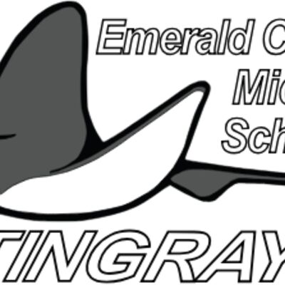 Stingrays Screenprint Thumbnail