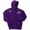 [Embroidered] ECMS Youth Pullover Hooded Sweatshirt Thumbnail